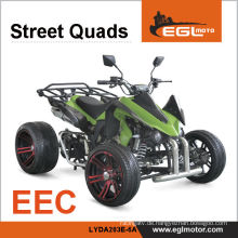 250ccm Racing Quad Motorrad mit EWG-Zulassung